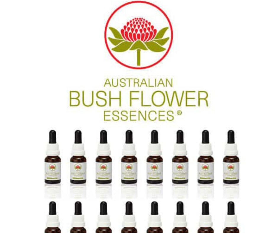 Curso de Esencias Bush de Australia