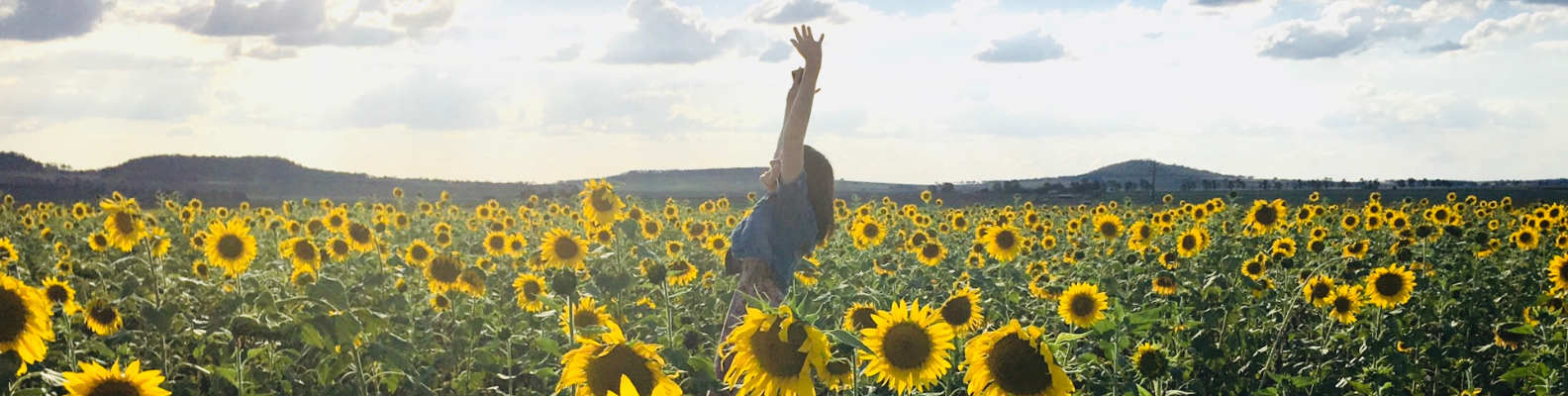 Lee más sobre el artículo ¿Quieres iniciar un proceso de autotransformación? Te muestro las etapas